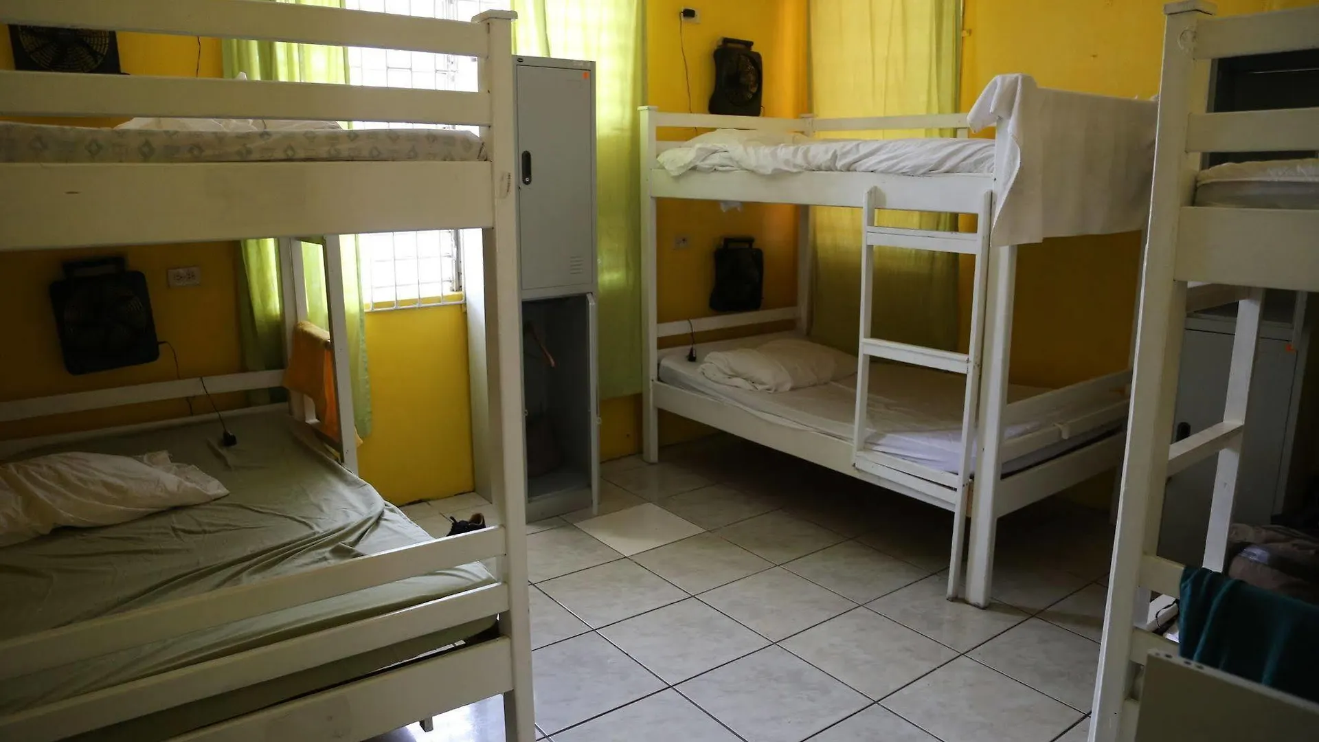 Reggae Hostel 킹스톤 0*,  자메이카