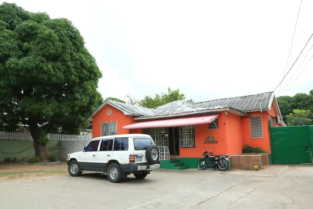 Reggae Hostel Kingston Jamaica