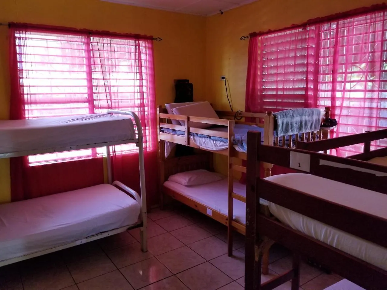 Reggae Hostel Kingston